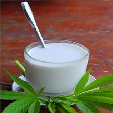 cannabis milk