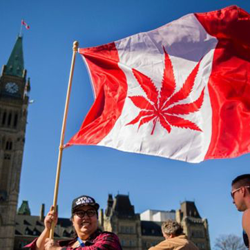 Canada flag with a marijuana leaf instead of maple leaf being waved outside parliament